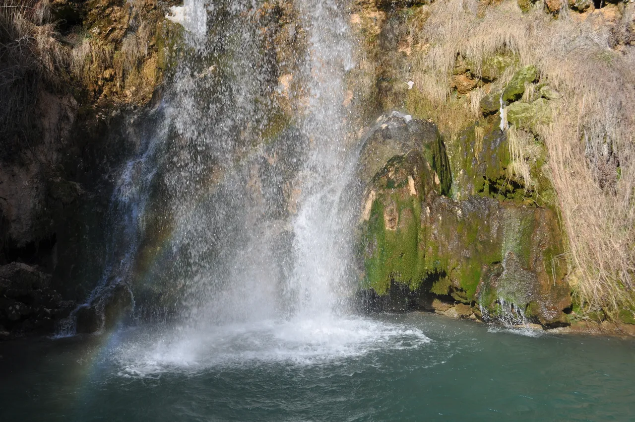 DSC_0200.JPG