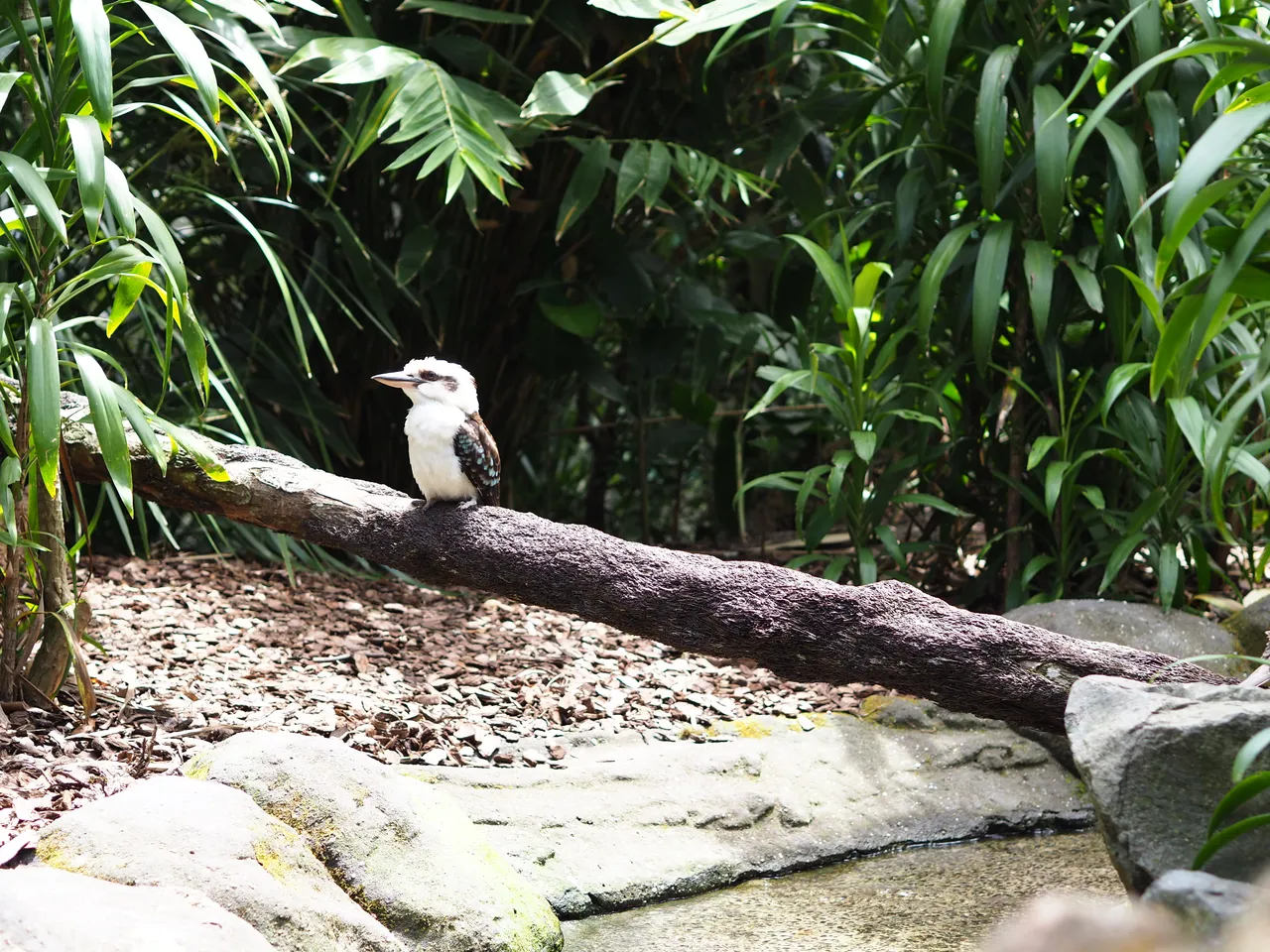 P1082130.jpg