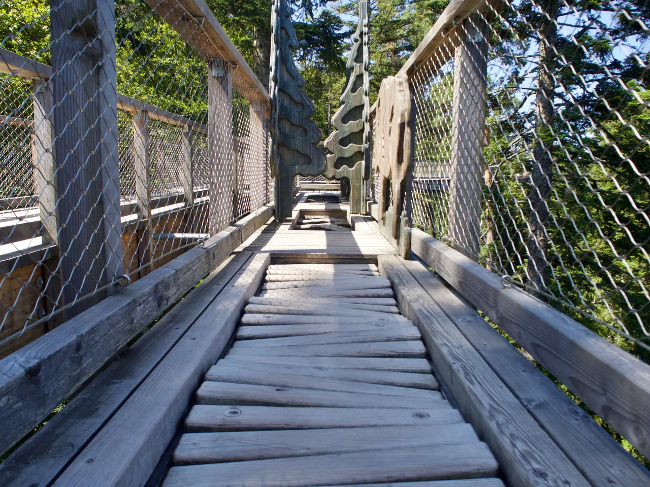 P7080414.jpg