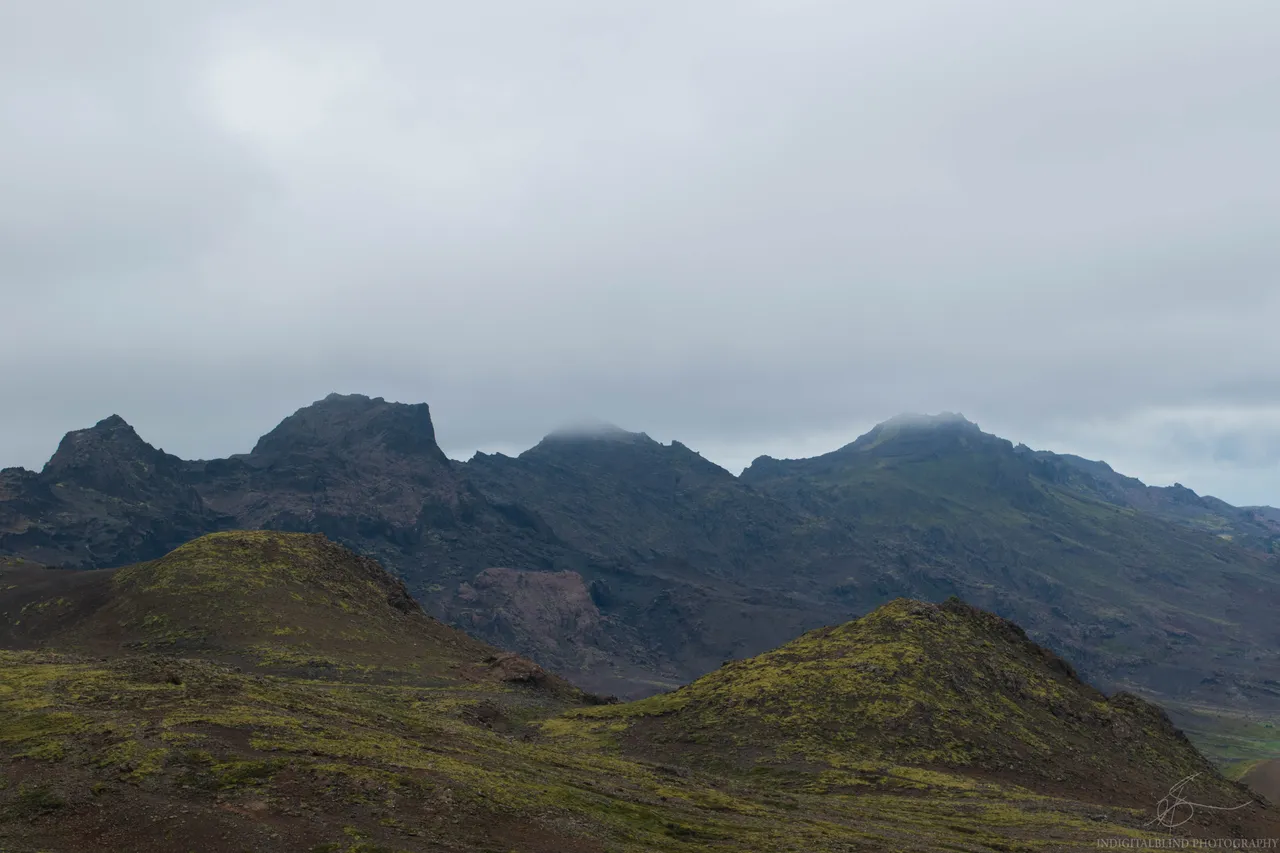 DSC_0035.jpg