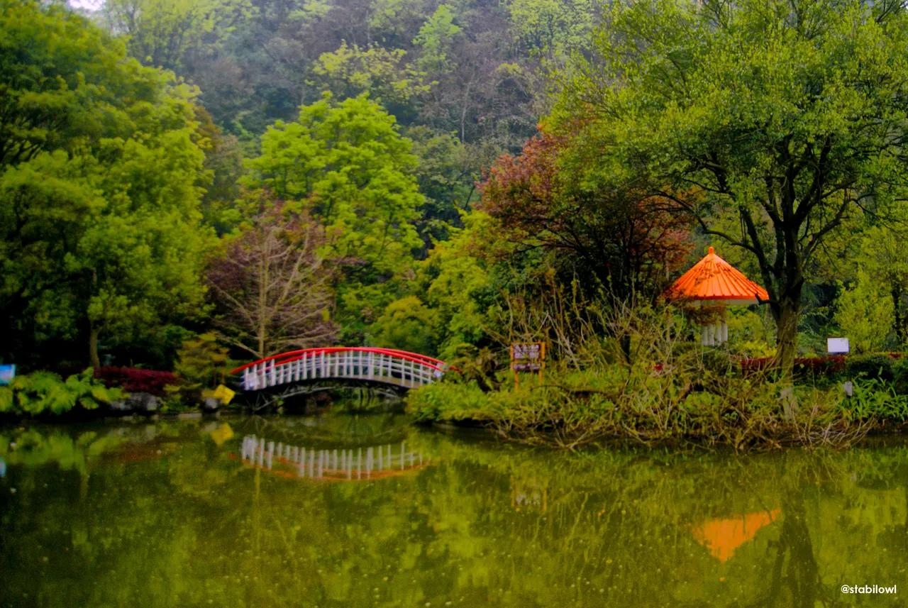 DSC09022.JPG