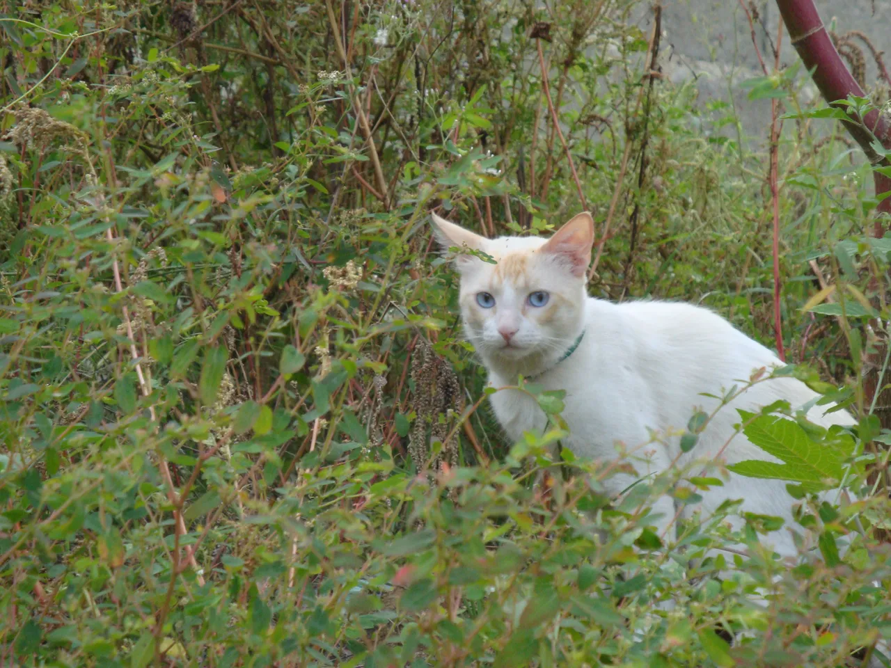 DSC05112.JPG