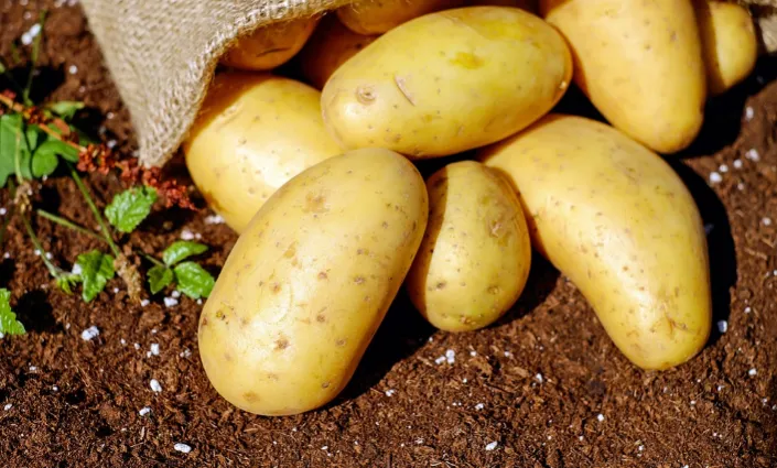 Potatoes.png