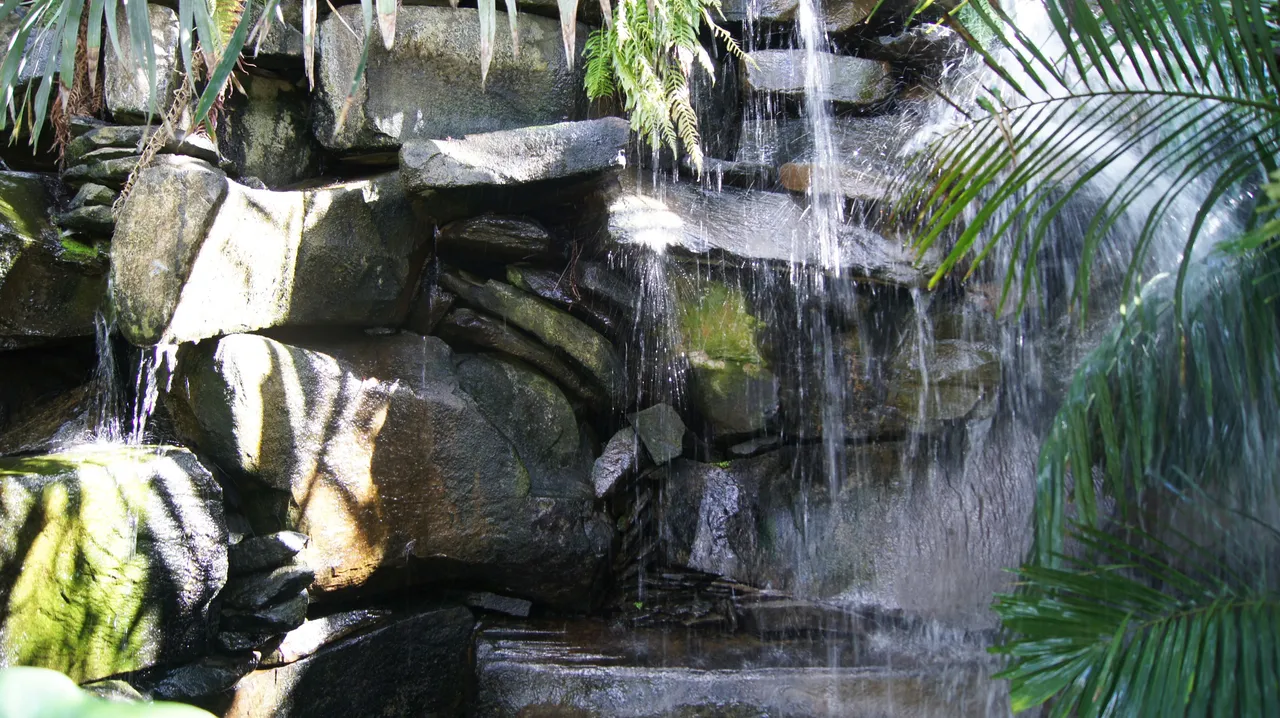DSC06822.jpg