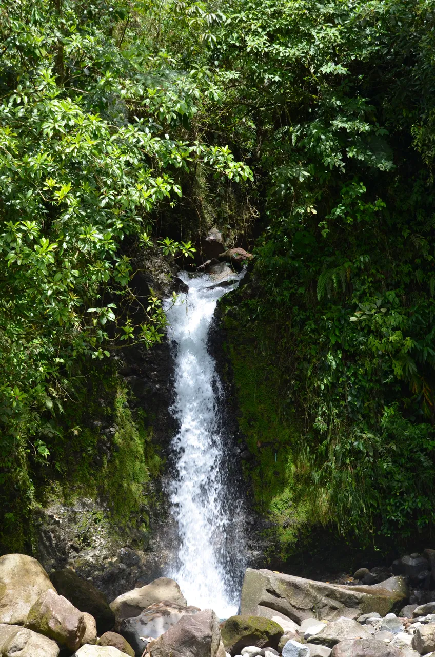 DSC_0219.jpg