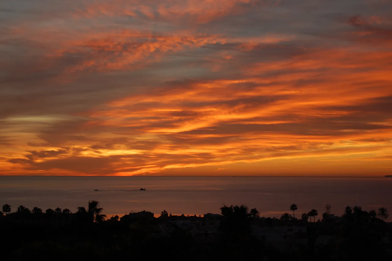 DSC_0513.JPG