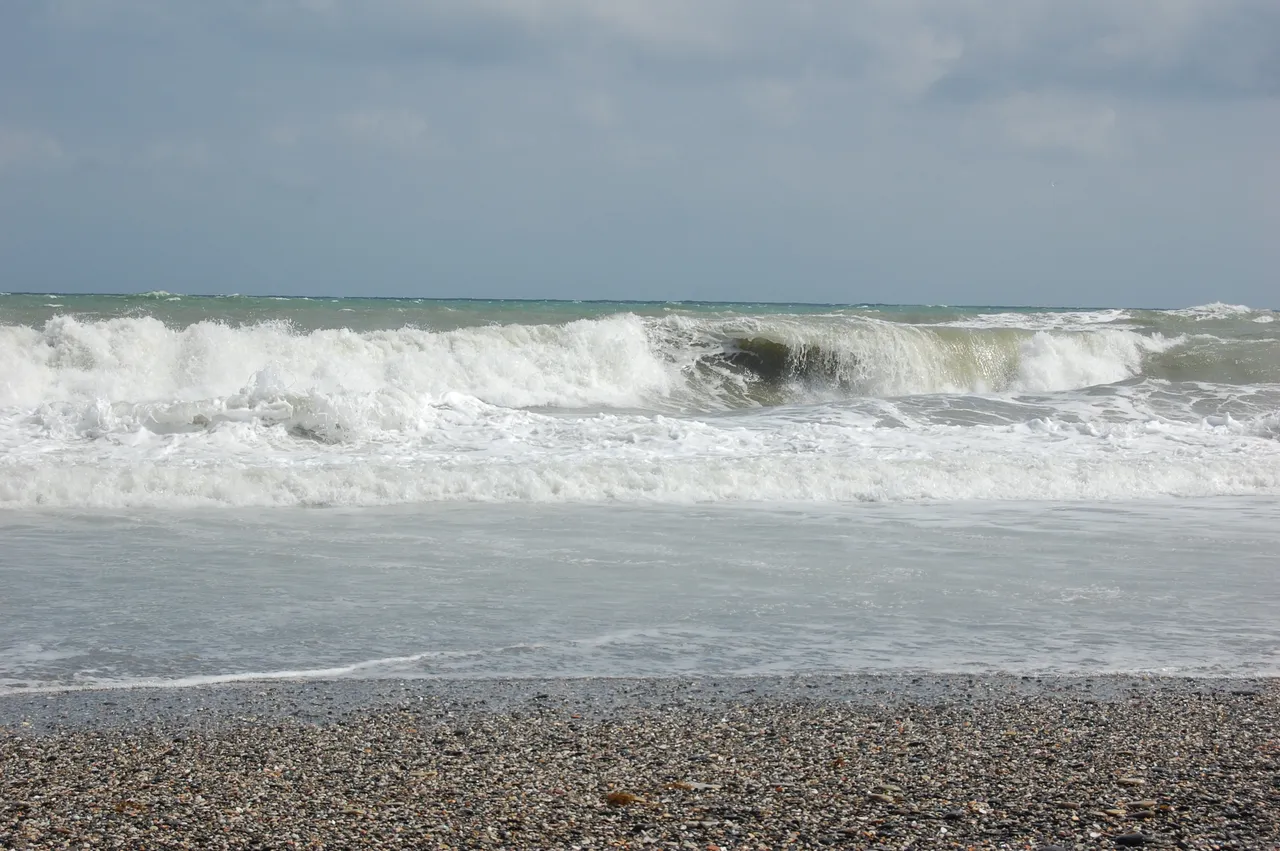 DSC_0256.JPG