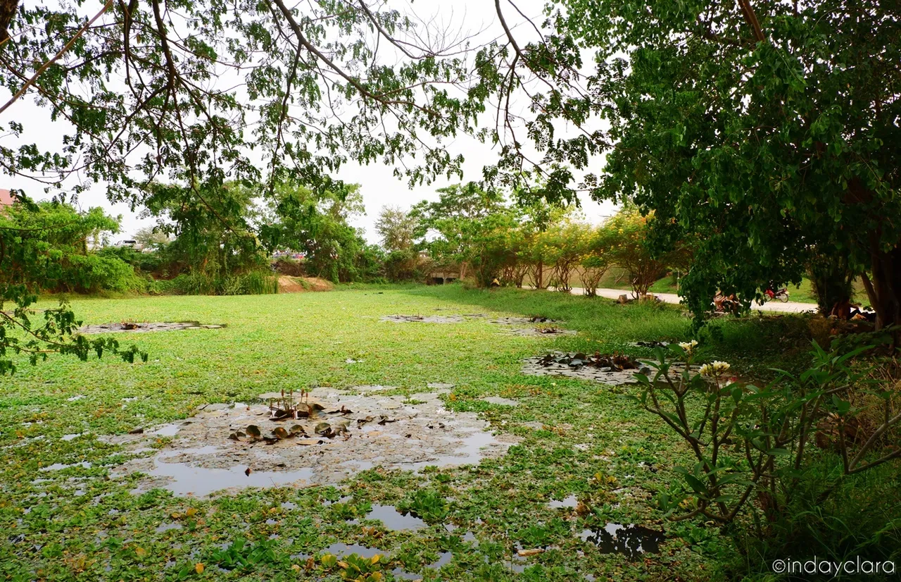 DSCF4943.JPG