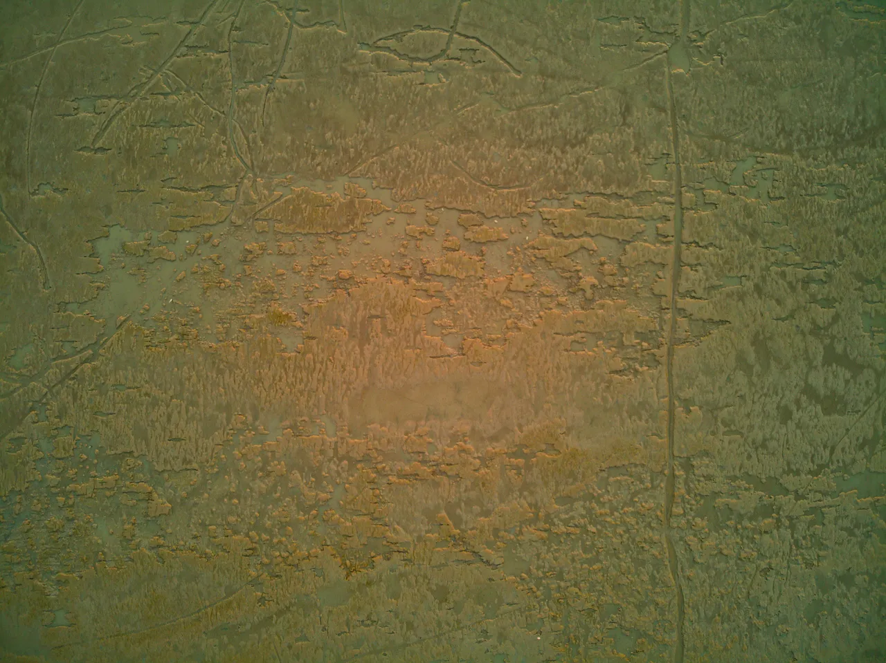 DJI_0460.jpg