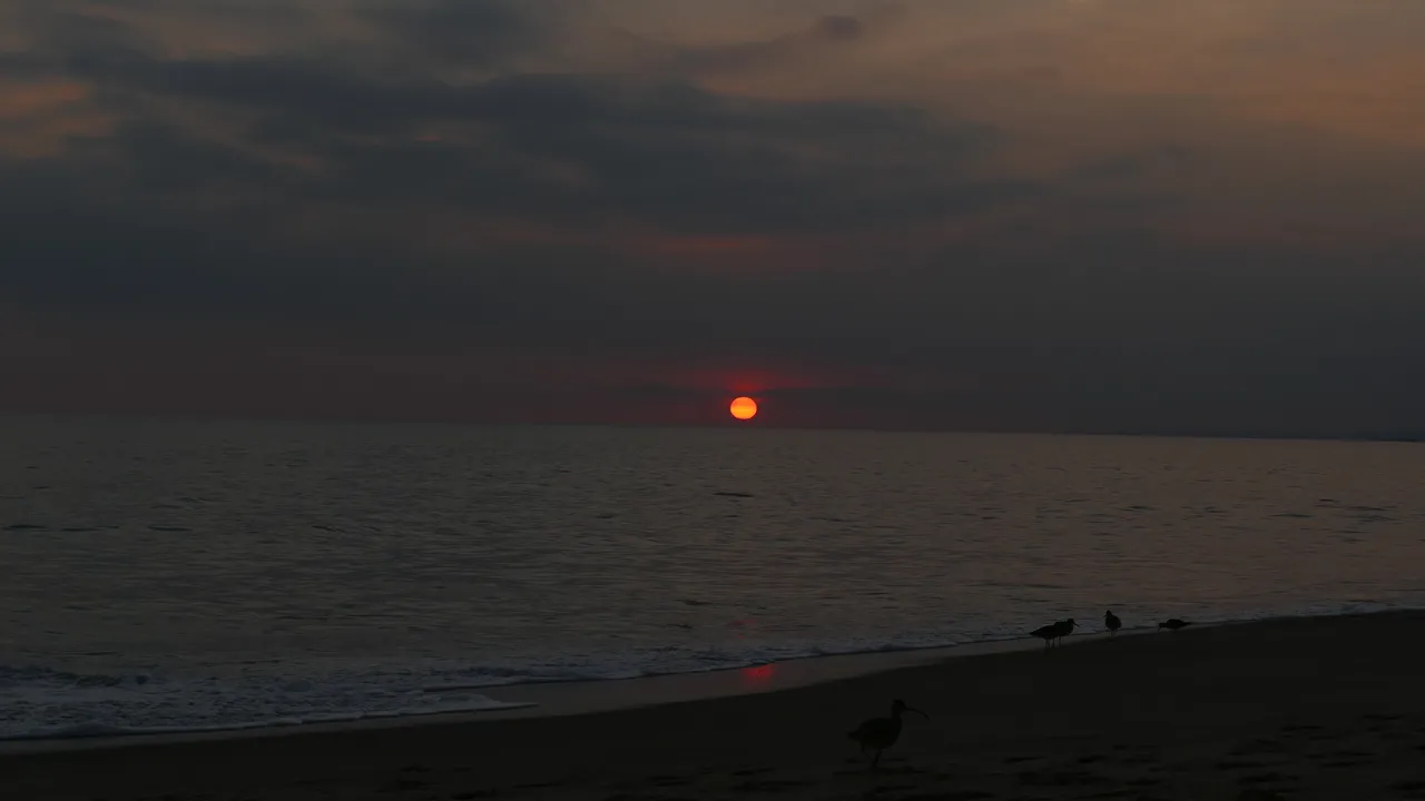P1060200.JPG