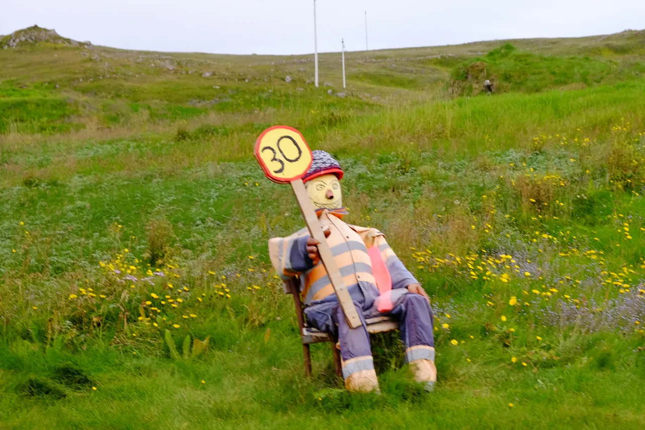 DSCF4617.jpg