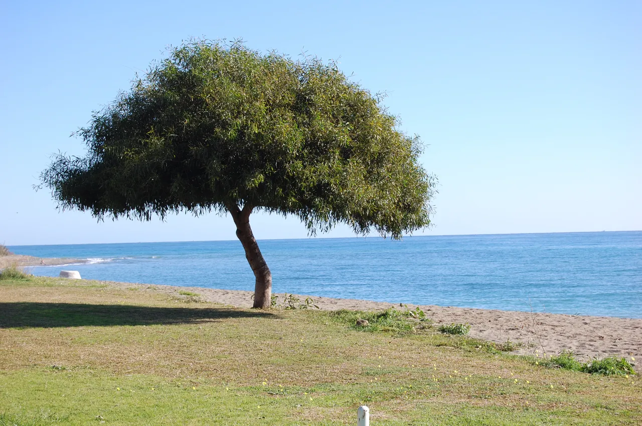 DSC_0560.JPG