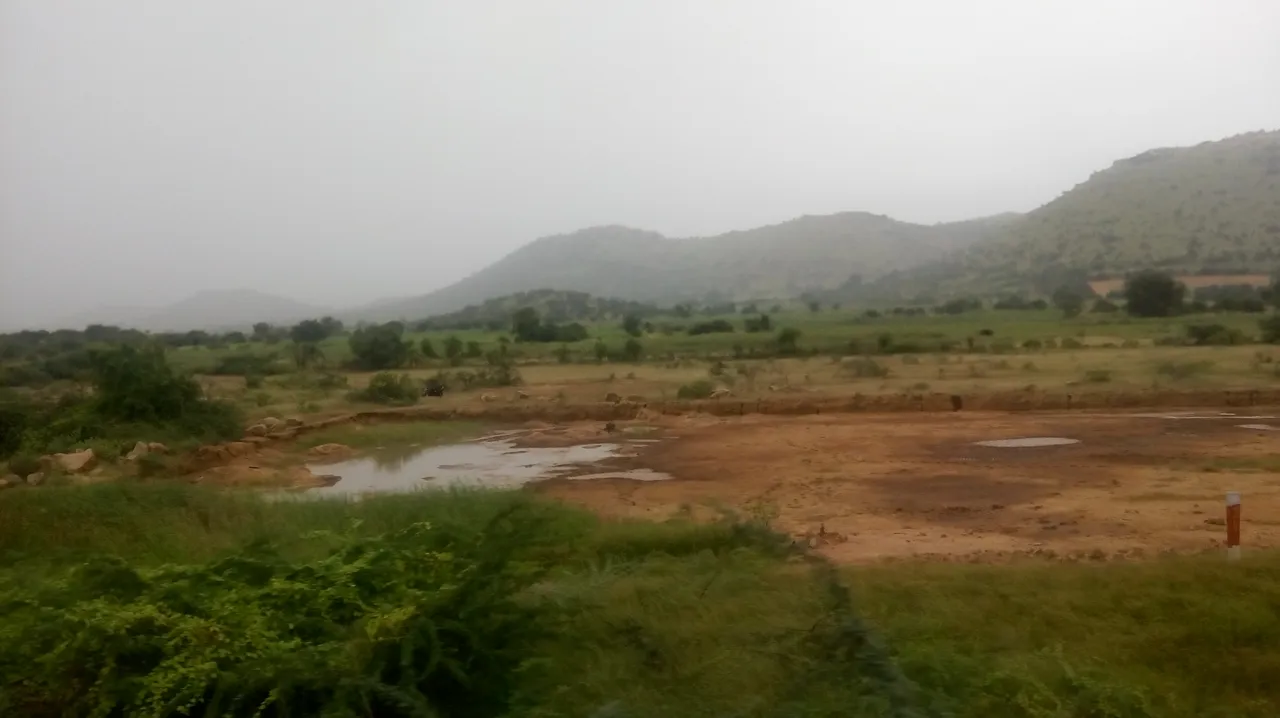 O0909192.jpg