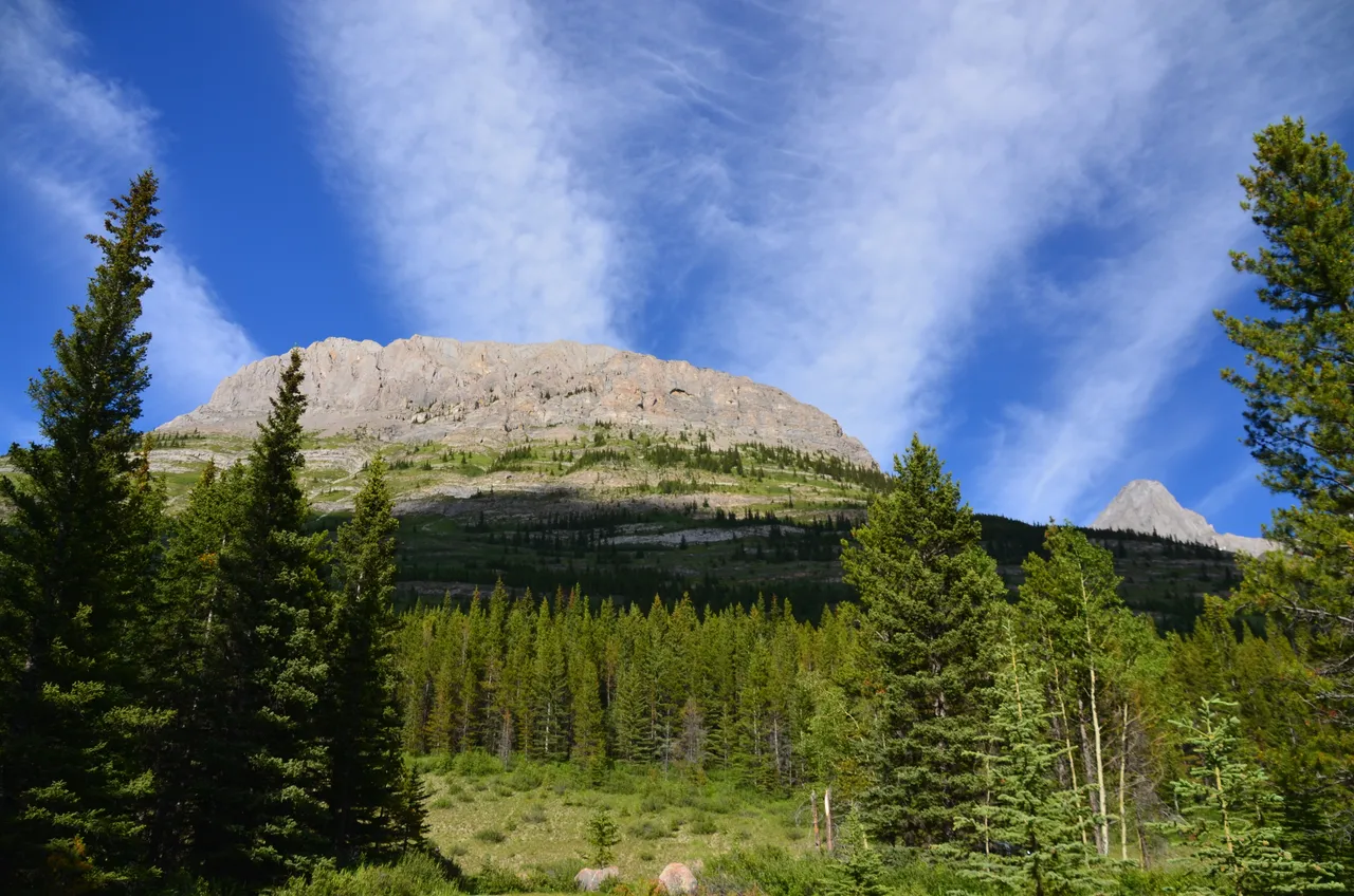 DSC_2265.JPG