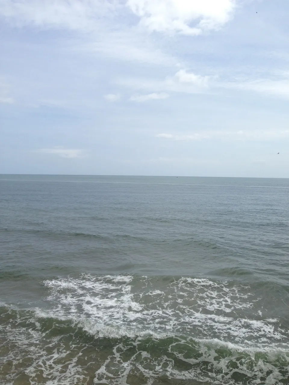 IMG_0816.JPG