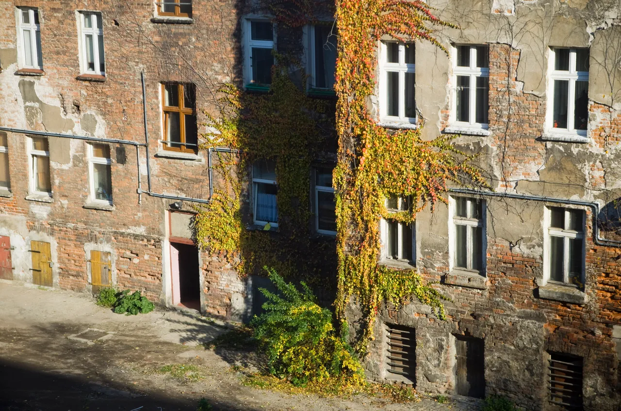 IMGP3729.JPG