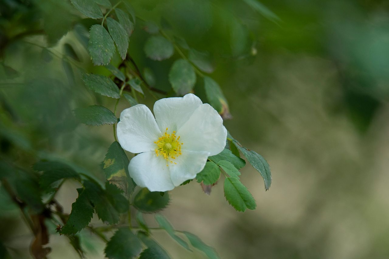 DSC_4026.jpg