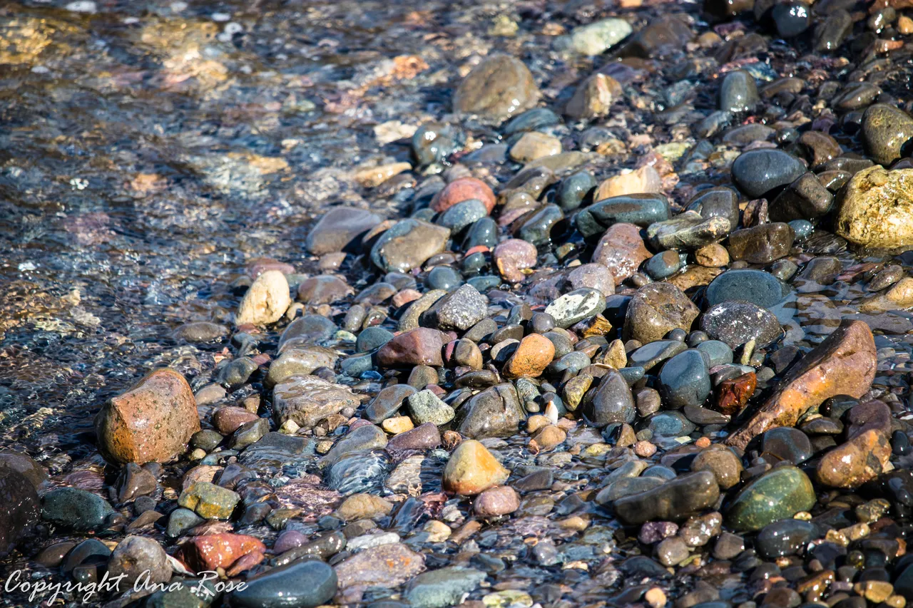IMG_7278.jpg
