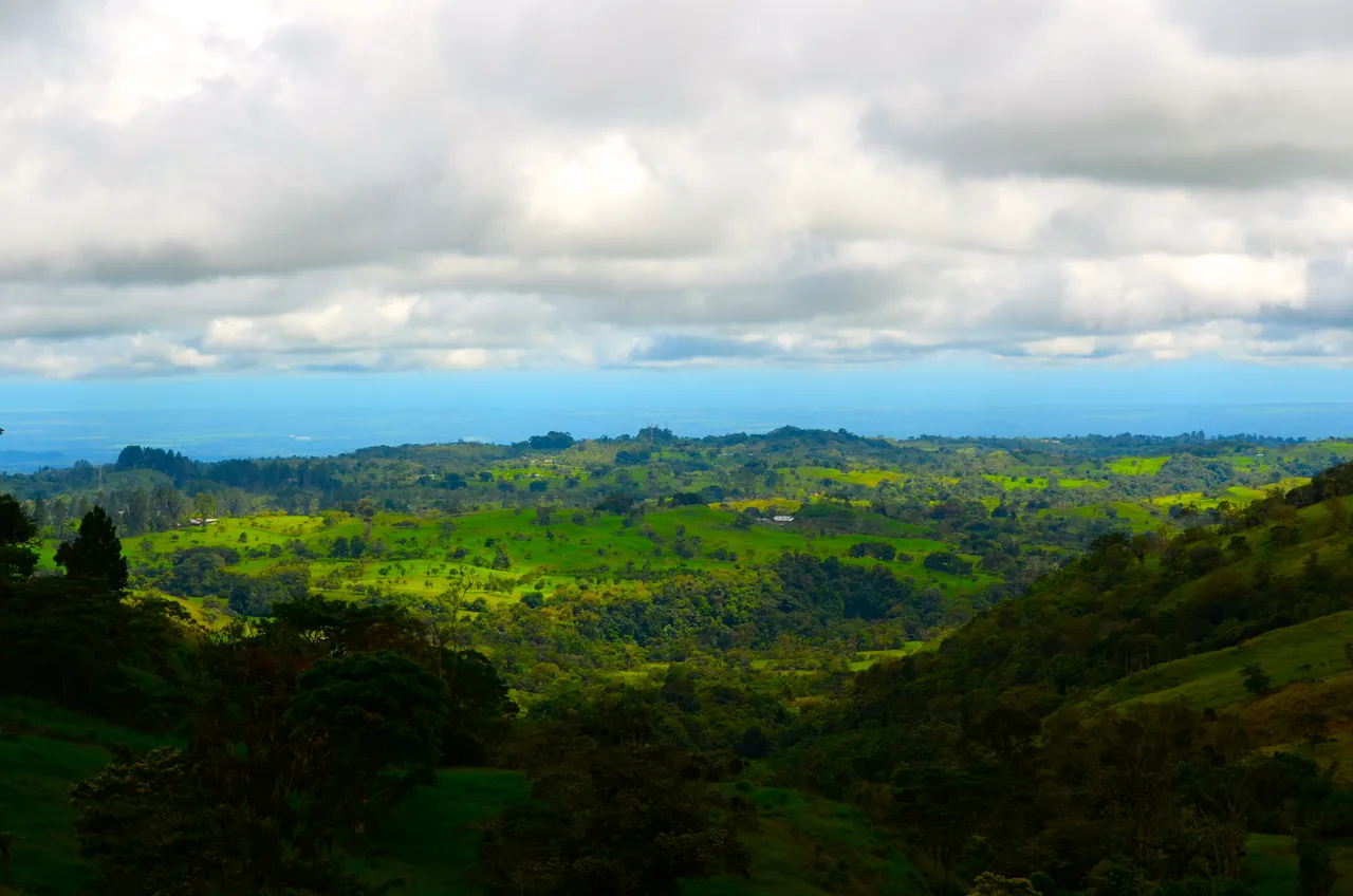DSC_0341.JPG