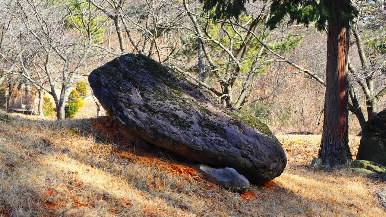 P2080096.JPG