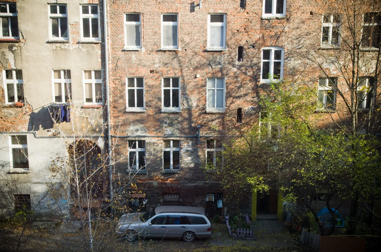 IMGP3731.JPG