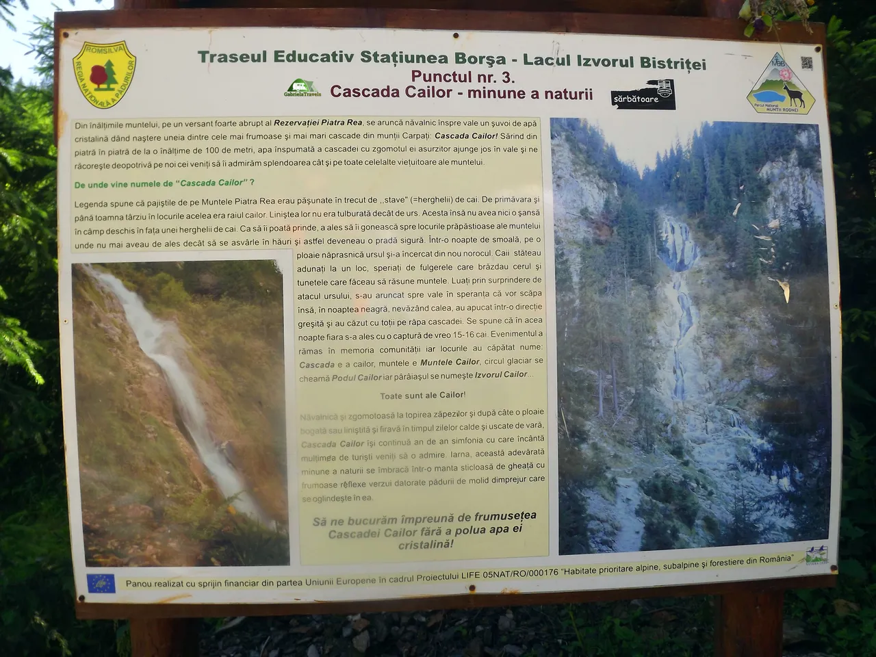 DSCF9161.JPG