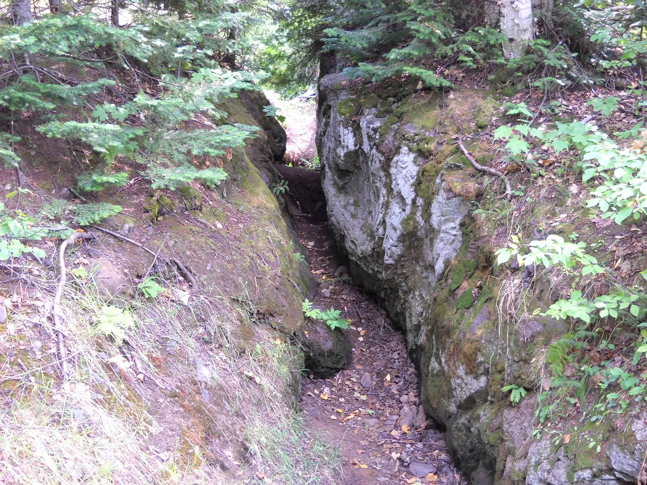DSCN9611.JPG