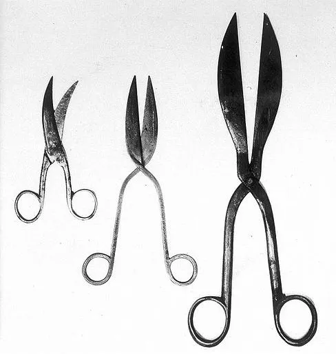 Scissors.jpg