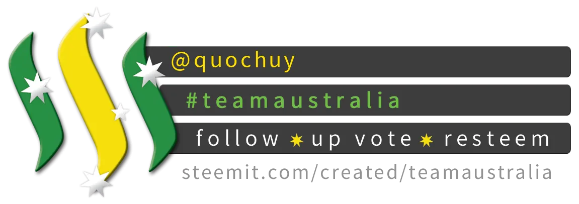 Team Australia Banner
