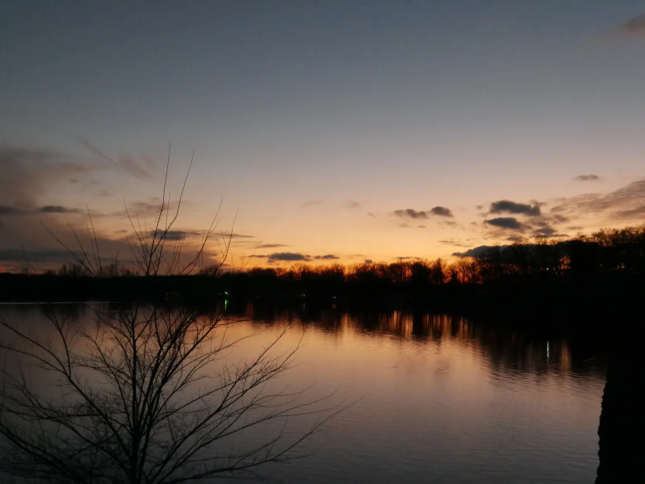 P1000219.JPG
