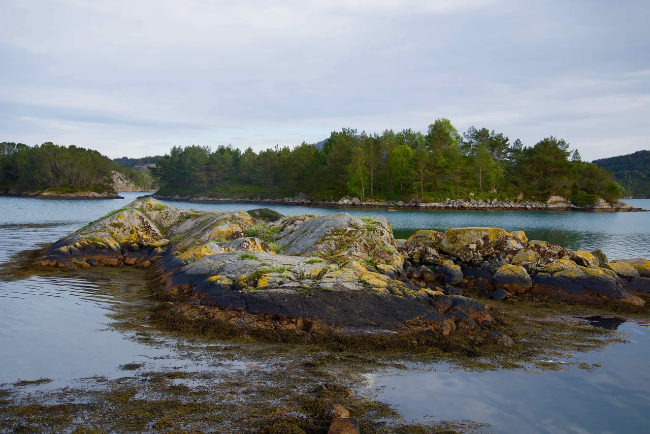 DSC_1496.jpg
