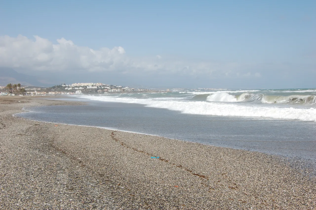 DSC_0264.JPG