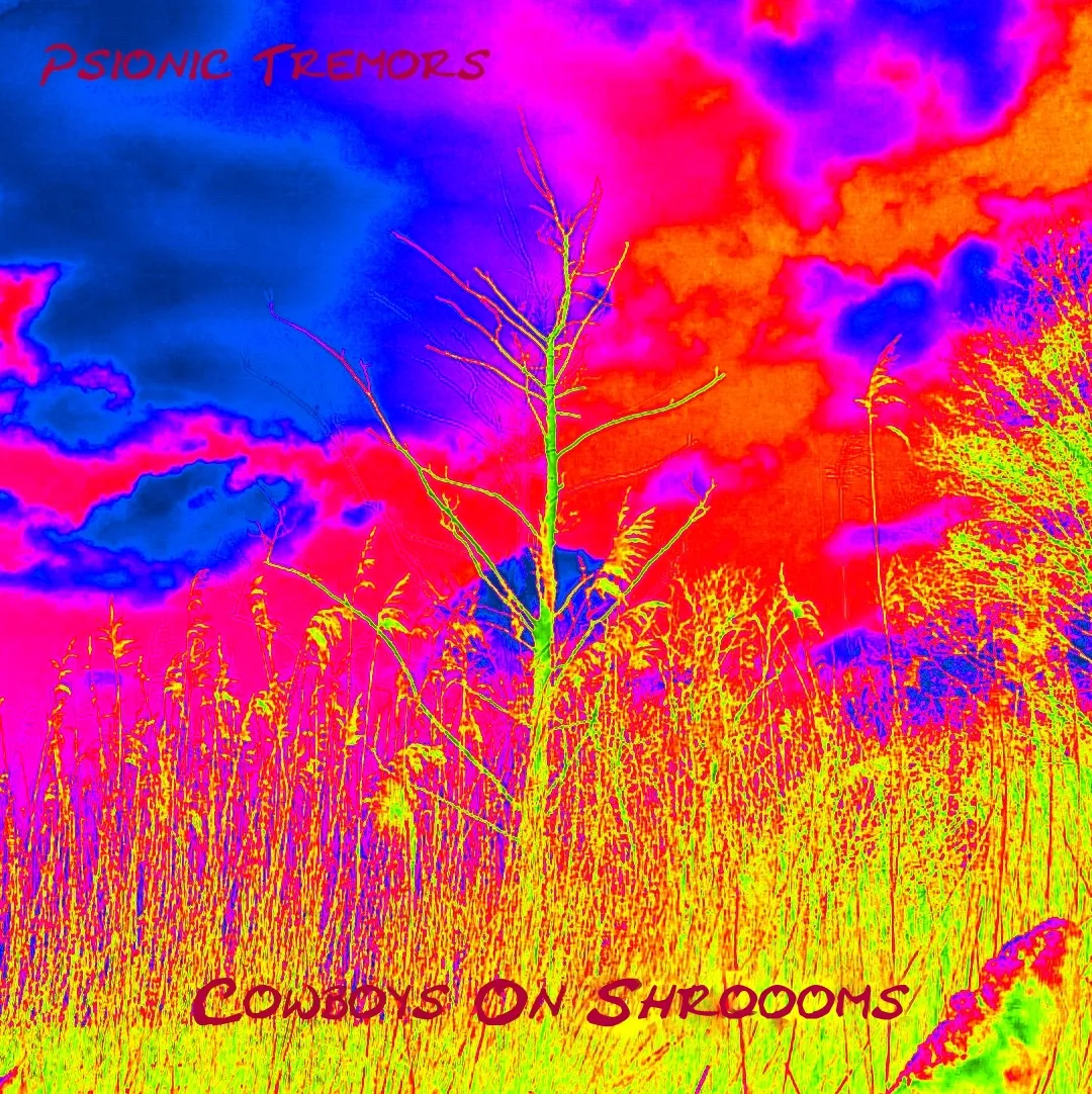 Cowbooys.JPG