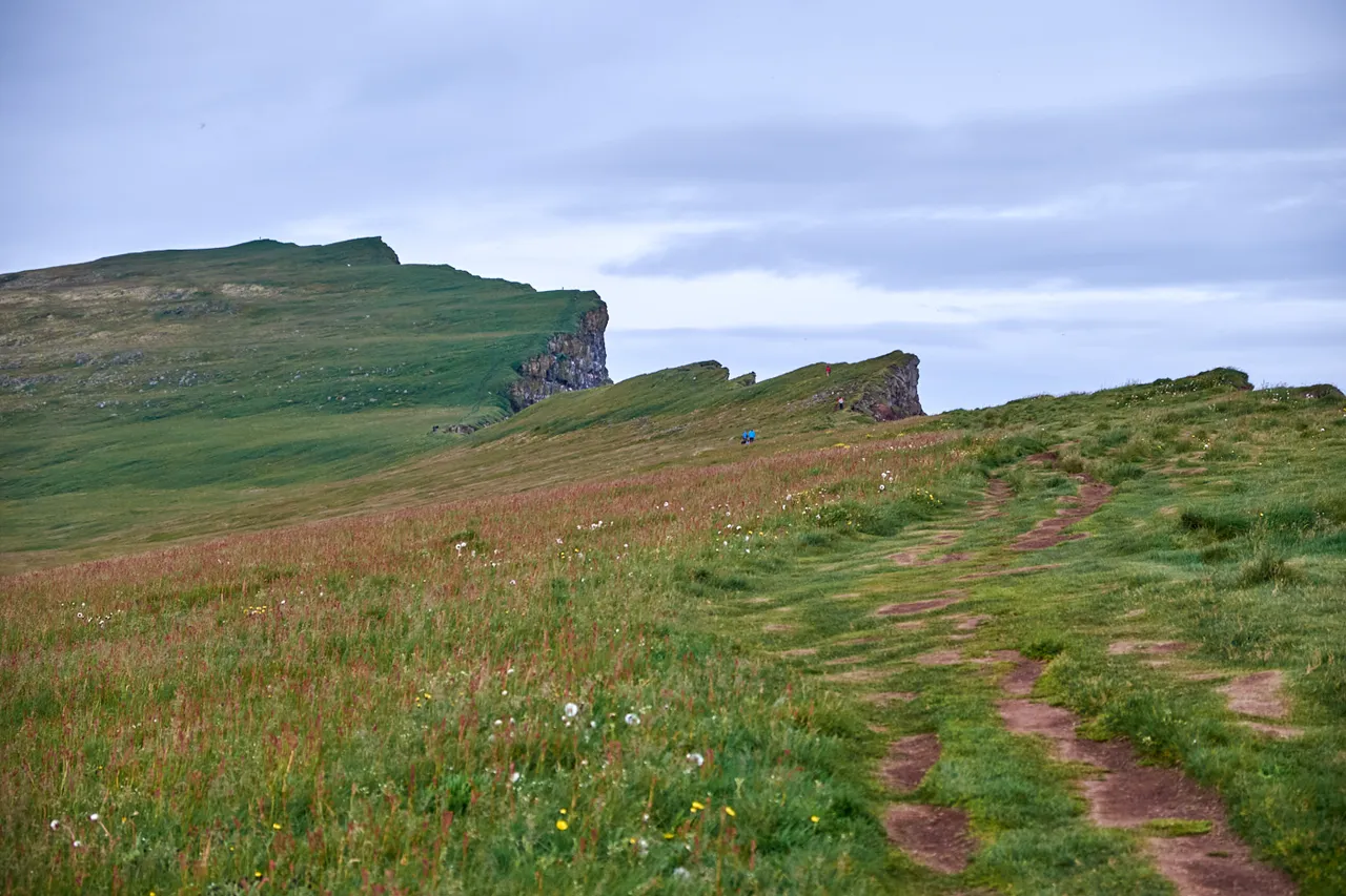 DSCF4636.jpg