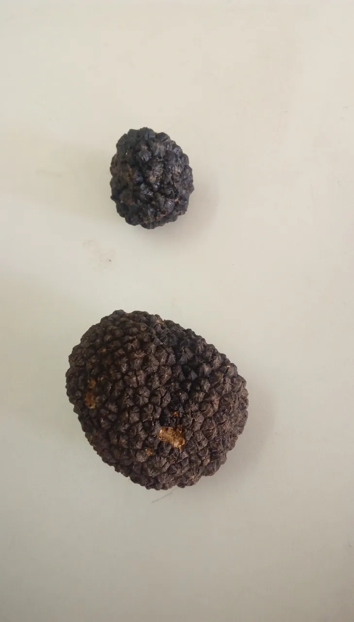 IMAG0760.jpg