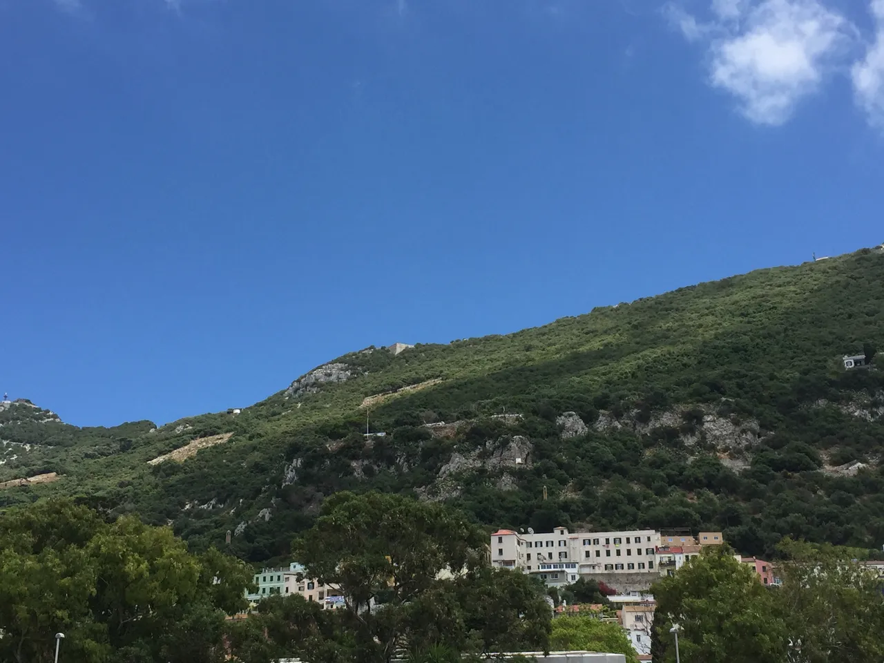IMG_2047.JPG