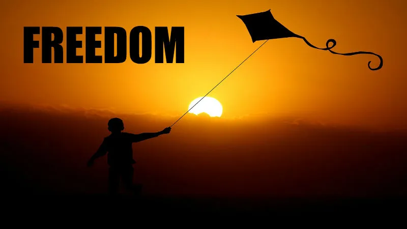 freedom2.jpg