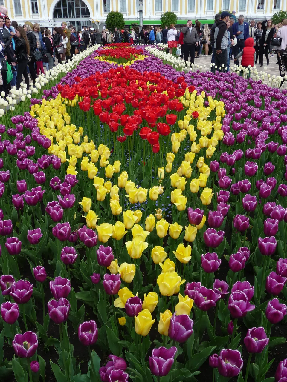 P1050568.JPG