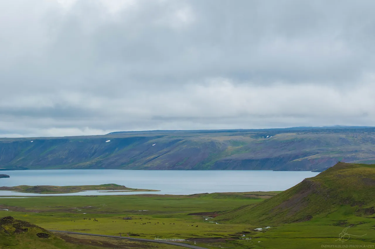 DSC_0033.jpg