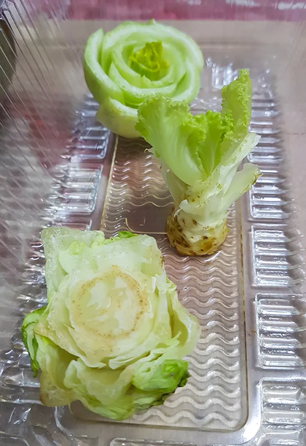 Veggie02.jpg