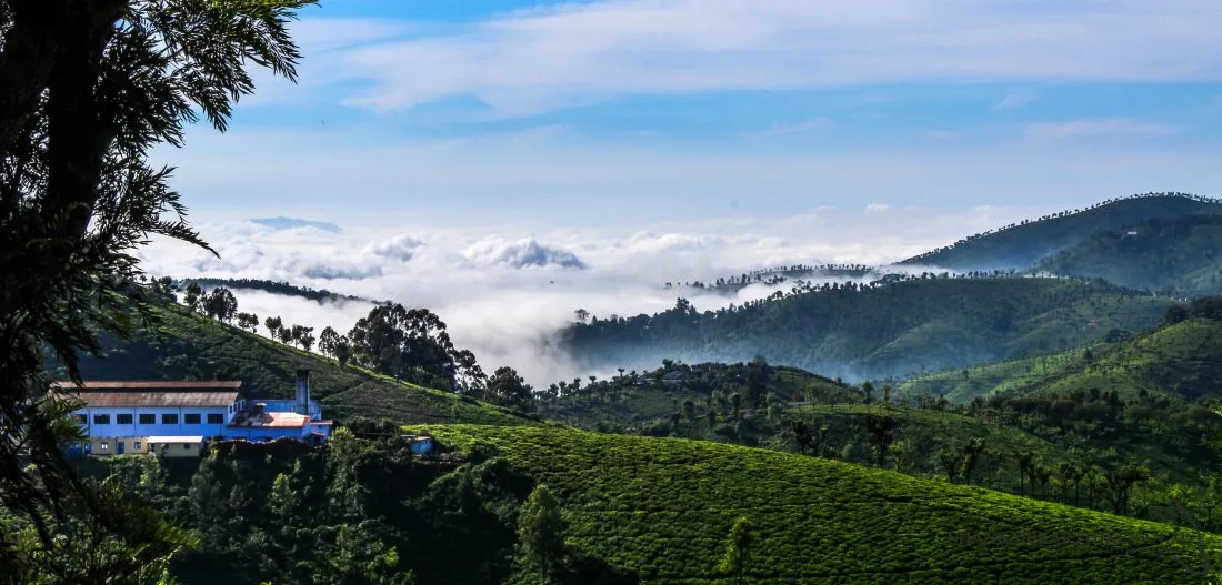 coonoor1.jpg