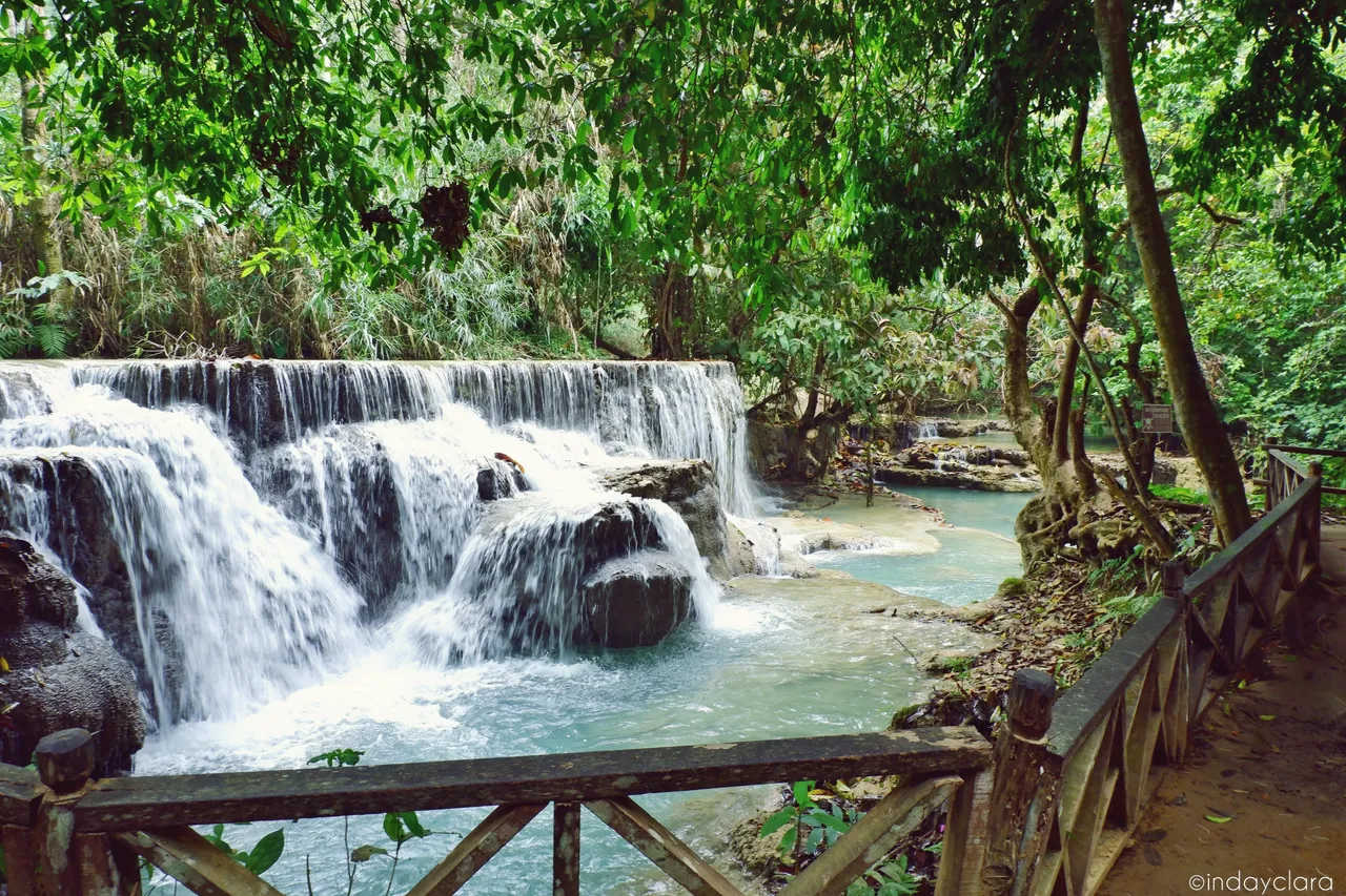 DSCF4180.JPG