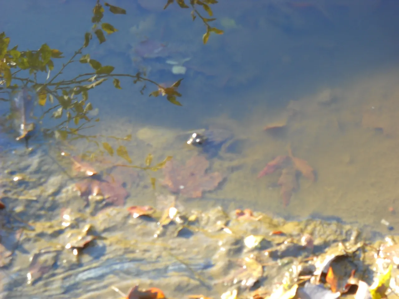 DSCN0187.JPG