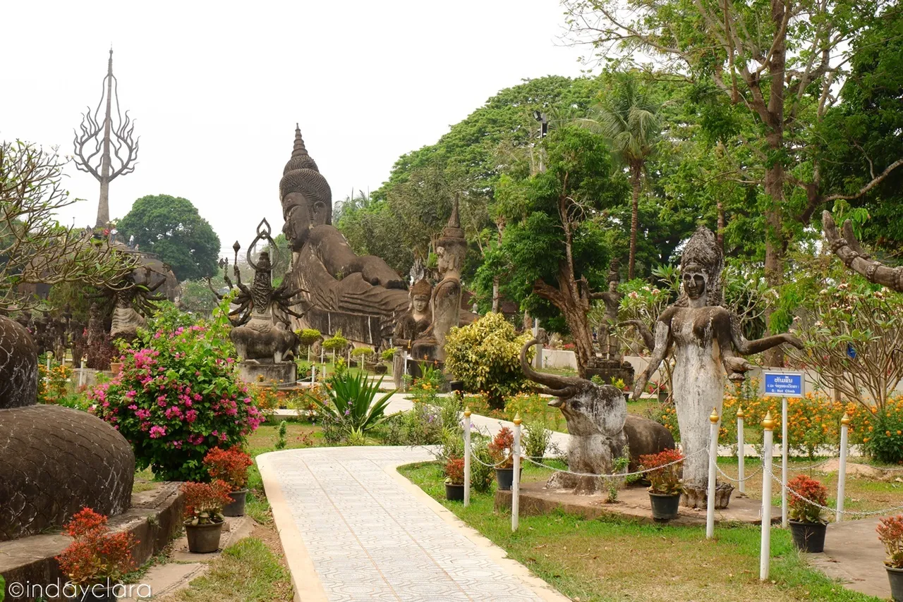 DSCF5401.JPG