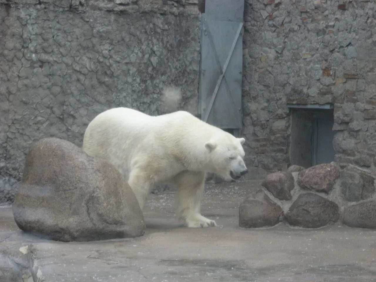 IMG_4050.jpg
