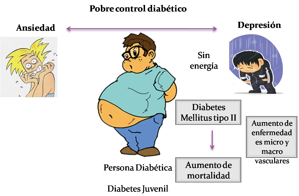 Imagen12.png
