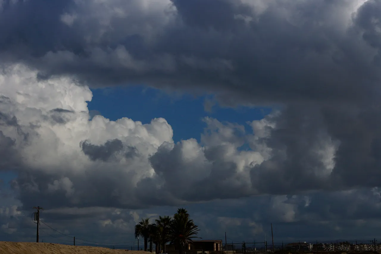 _DSC9478.JPG