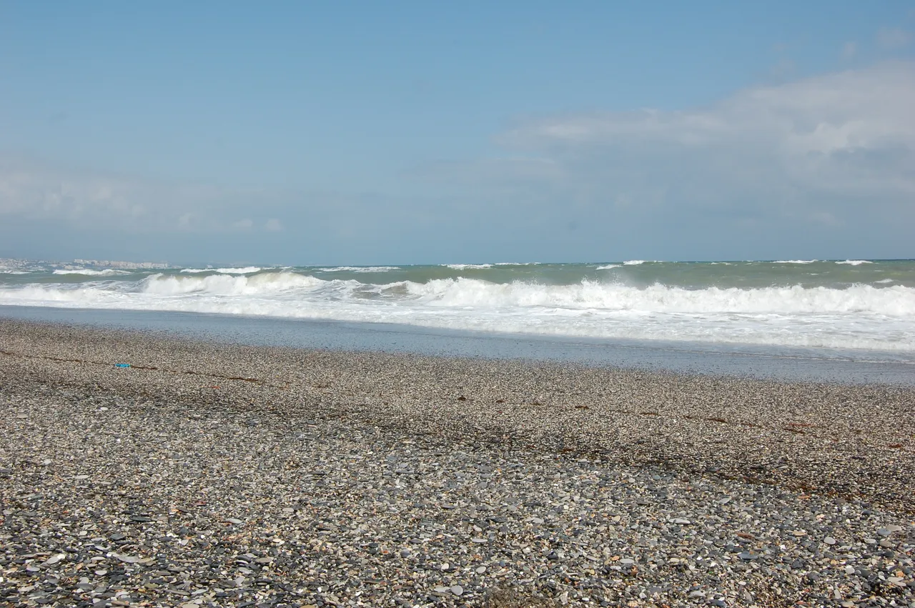 DSC_0260.JPG