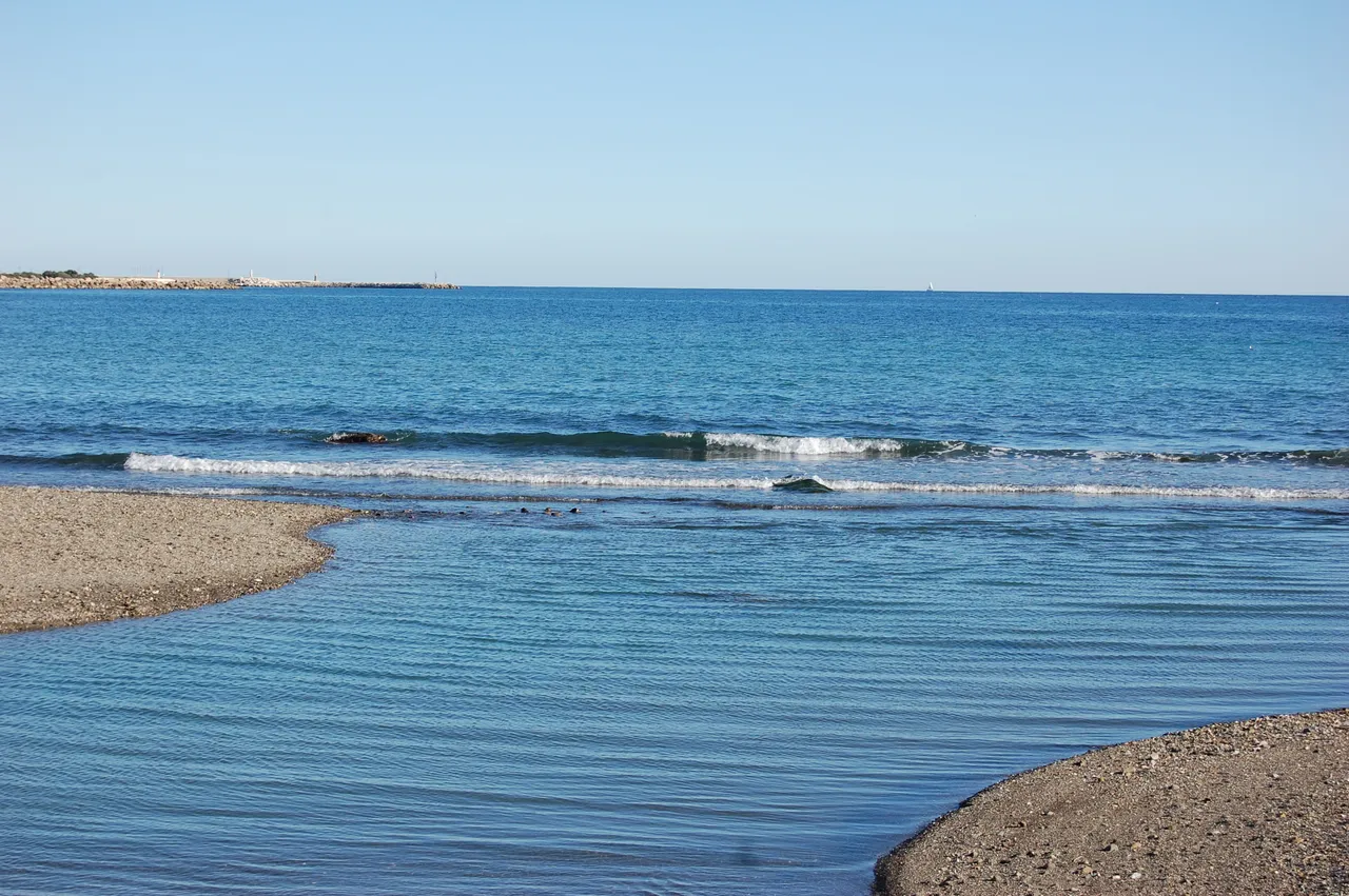 DSC_0898.JPG
