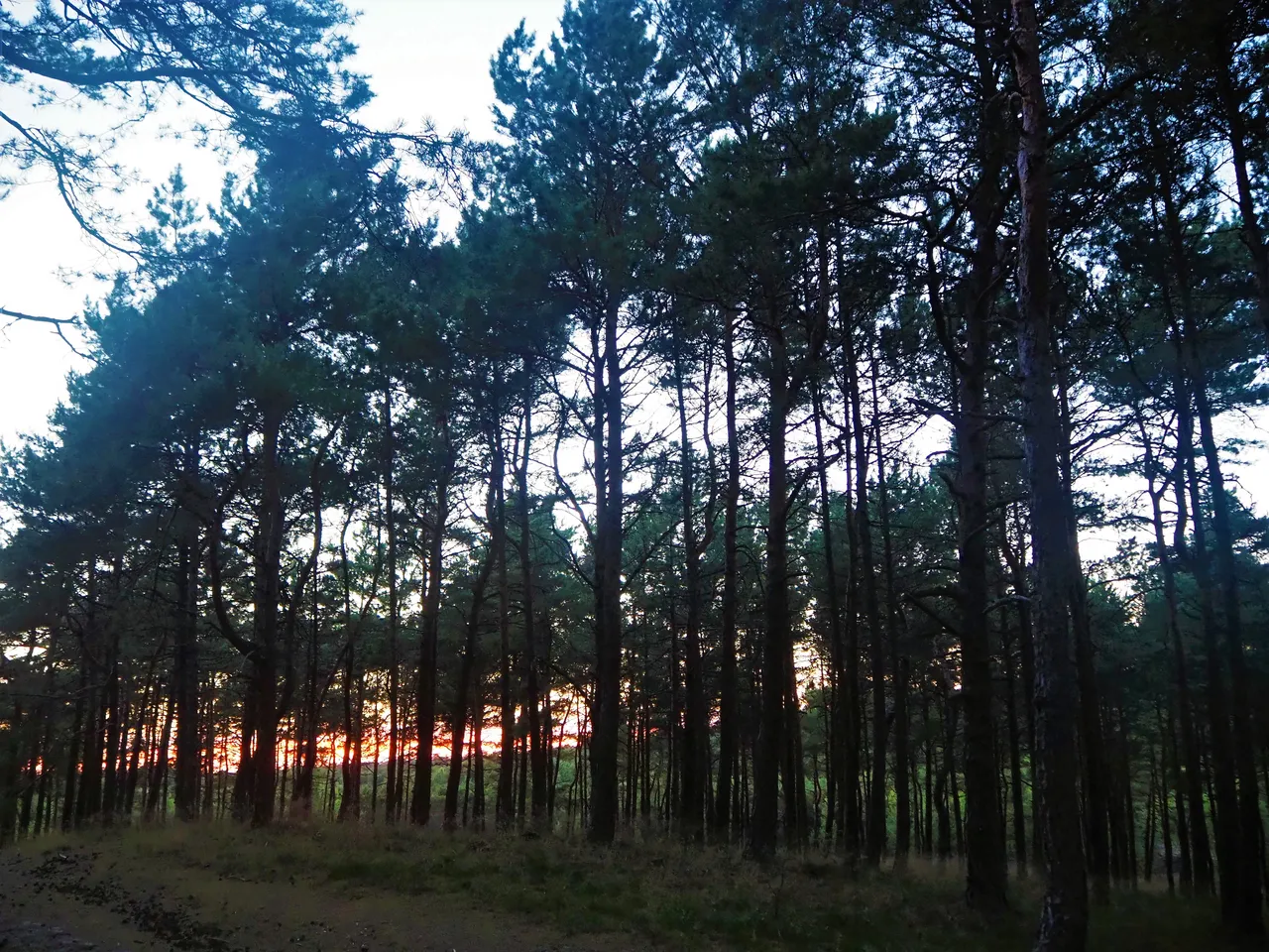 P6280432.JPG